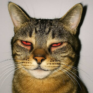 𝓎𝒶𝓇𝓊𝓁𝓁𝒶