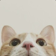 愿只愿人在风中