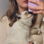 pomme - steam id 76561198994755098