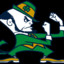 IrishWarrior