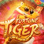 fortunetiger