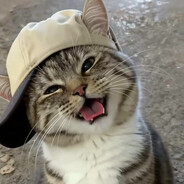 Meow