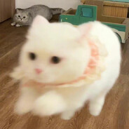 你真是饿什么都吃得下