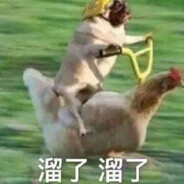 今年二十八只学会干拉