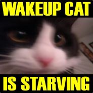 [HFR] GenGis_K - steam id 76561197963248772