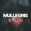 Mullegris