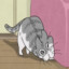 hippocampus