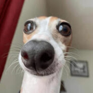 s1eepy - steam id 76561198075090302