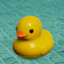 rubber ducky