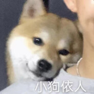 相约玉米地
