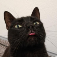 Kassu