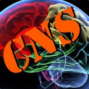 CNS