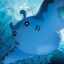 Hex's avatar