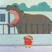 猪猪侠在逃女友