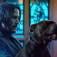 mr.wick