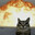 Plantfire298