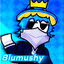 BlumushyMB