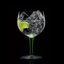 Gin Tonic