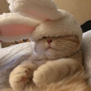 彭于晏请我吃饭