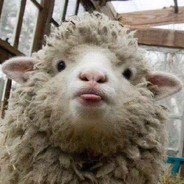 IIIIIIIIIIIIIIIIIIIIIIIIIIIIIIII