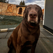 [No-No]Lance420CS_YT