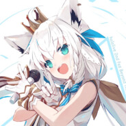 白毛小狐狸团子