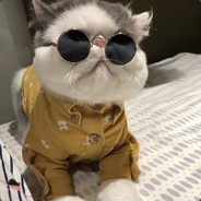 Big Avatar