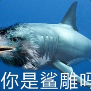 你是鲨雕吗
