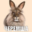 чepeмшa c пepeгнoeм