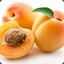 The Almighty Apricot