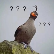 不可结缘 徒增寂寞