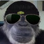 F1RAT int acc