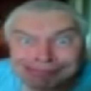 donkey