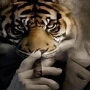 PuZoTryASS - steam id 76561198419446771