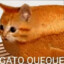 Gato Queque