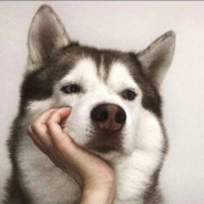 我不冲，没医保