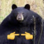 grenbear11