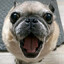 plushka's avatar