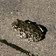 zlu - steam id 76561198991715615