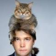 CatOnTheHead