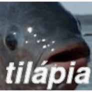 tilapia22