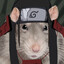 Avatar of Hashirama