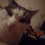 CLARENCE avatar
