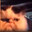BAPPO NO FAPPO