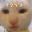 。。。