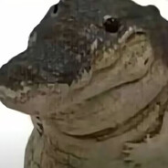 超级无敌鳄鱼战士三式