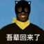 摩尔肘纳