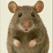 大狗嚼俱乐部外包鼠鼠