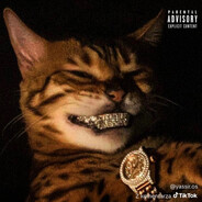 kemociak mpk.wroc.pl