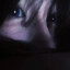 Yagami Light